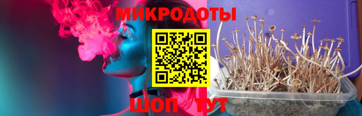 Псилоцибиновые грибы прущие грибы  Вход с VPN  Зеленокумск 