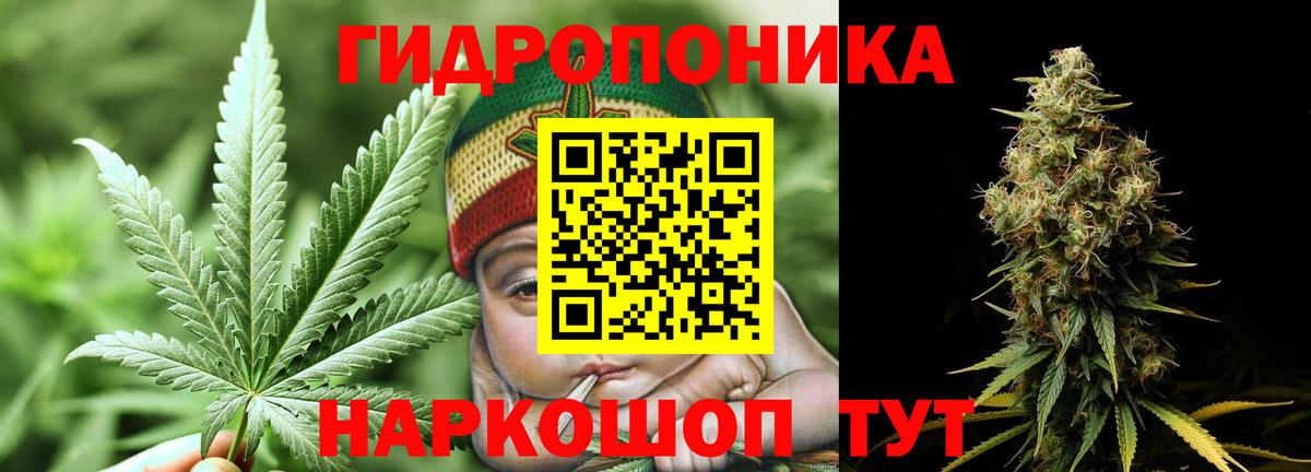 Бошки марихуана Ganja  Марихуана SATIVA & INDICA  Вход с VPN  Марихуана конопля  Зеленокумск 